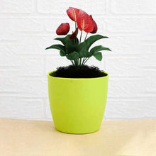 Plastic round flower pots for indoor/outdoor use